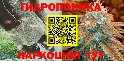 прущая мука Гусев