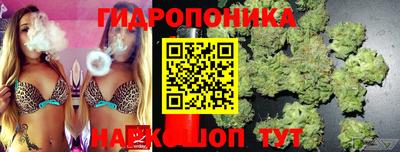 прущая мука Гусев