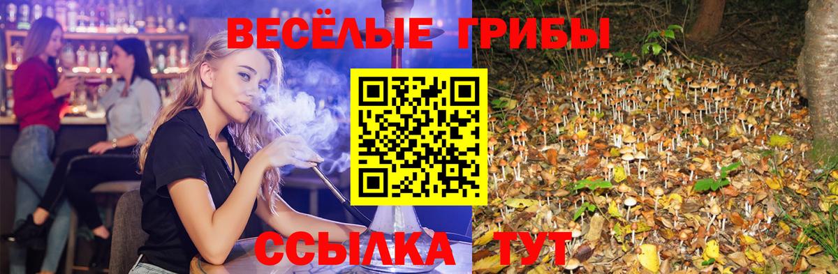 Псилоцибиновые грибы мухоморы  Вход с VPN  Псилоцибиновые грибы GOLDEN TEACHER  Нарткала 